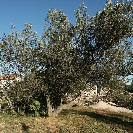 Apartamento Studio Jezera 798d Tisno